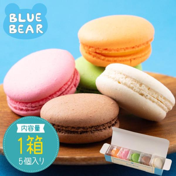 マカロン 詰め合わせ 5個セット チョコ ラズベリー バニラ マンゴー ピスタチオ プレゼント ギフ...