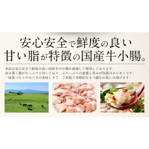 もつ鍋 取り寄せ 博多 もつ鍋セット 3〜4人...の詳細画像2
