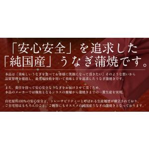 うなぎ 蒲焼き 165g前後 白焼き 125g...の詳細画像3