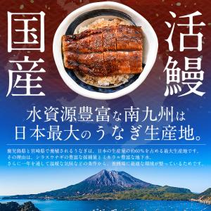 うなぎ 蒲焼き 165g前後 白焼き 125g...の詳細画像4