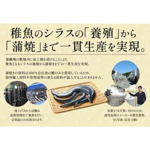 うなぎ 蒲焼き 165g前後 白焼き 125g...の詳細画像5
