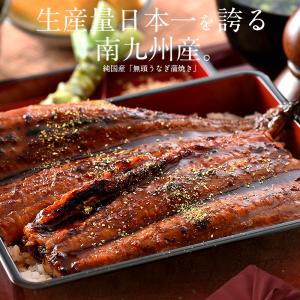 うなぎ 鰻 ウナギ 蒲焼き 国産 大サイズ 1...の詳細画像3