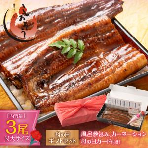 【  ギフトセット】うなぎ 蒲焼き 国産 無頭 特大サイズ 約200g×3尾 ウナギ 鰻 化粧箱 うなぎ蒲焼 贈り物 ギフト グルメ プレゼント   ギフト 父の日｜港ダイニングしおそう