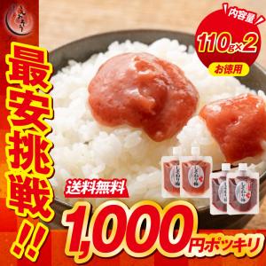 無添加 国産 ねり梅 種類が選べる 110g×2個セット 送料無料 1,000円ポッキリ 梅 うめ 梅干し 福井梅 練り梅 調味料 梅干し しそ梅 おにぎり 父の日 爆買