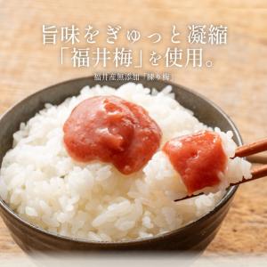 無添加 国産 ねり梅 種類が選べる 110g×...の詳細画像2