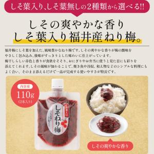 無添加 国産 ねり梅 種類が選べる 110g×...の詳細画像3