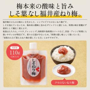 無添加 国産 ねり梅 種類が選べる 110g×...の詳細画像4