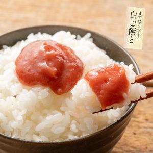 無添加 国産 ねり梅 種類が選べる 110g×...の詳細画像5