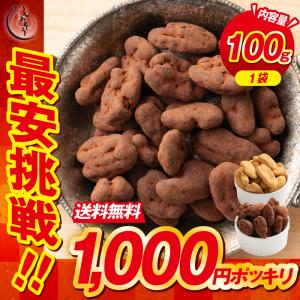 ピーカンナッツ チョコレート 100g（1袋） ココア キャラメル ナッツ スイーツ お菓子 贈り物 ポイント消化 ポイント消費 父の日