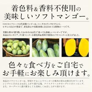 ソフトマンゴー ドライマンゴー 300g マン...の詳細画像3