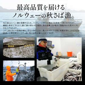 骨取り・骨あり・産地が選べる 鯖の切り身さば ...の詳細画像4