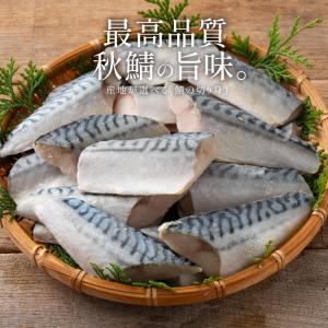 産地が選べるさば 鯖 骨取り 切り身 30g×...の詳細画像3