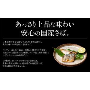 産地が選べるさば 鯖 骨取り 切り身 30g×...の詳細画像4