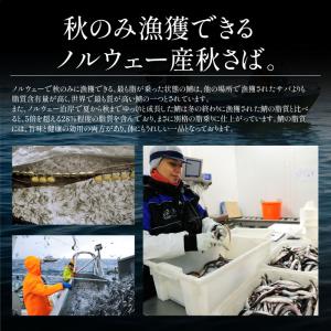 産地が選べるさば 鯖 骨取り 切り身 30g×...の詳細画像5