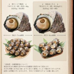 【同梱不可】 サザエ さざえ 特大サイズ 1k...の詳細画像4