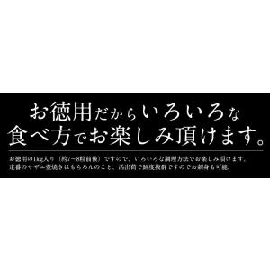 【同梱不可】 サザエ さざえ 特大サイズ 1k...の詳細画像5