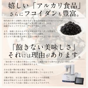 ひじき ふりかけ しそひじきふりかけ 110g...の詳細画像4