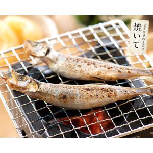 ししゃも シシャモ 訳あり 干物 子持ち メス...の詳細画像4
