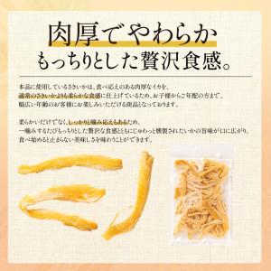 ソフト 燻製さきいか 150g 送料無料 1,...の詳細画像3