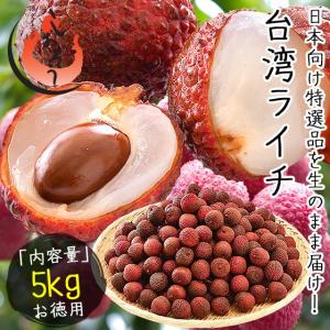 ライチ 5kg 生ライチ 台湾ライチ レイシ （着日指定不可） 母の日 爆買