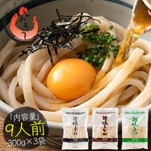 うどん 讃岐うどん 300g（9人前）100g×3袋 メーカー直...