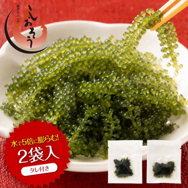 海ぶどう 5倍に膨らむ 無添加 無着色 2食入り(タレ付き） 送料無料 海ブドウ 塩漬け 海藻 特許...
