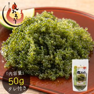 沖縄県産 海ぶどう 50g 無着色 タレ付き 海ブドウ うみぶどう 国産 塩漬け 海藻 プチプチ 食感 おつまみ ネコポス 送料無料 敬老の日 爆買