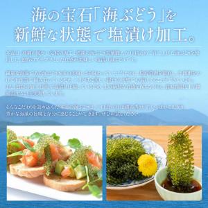 沖縄県産 海ぶどう 50g 無着色 タレ付き ...の詳細画像2