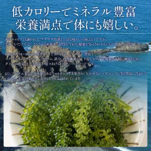 沖縄県産 海ぶどう 50g 無着色 タレ付き ...の詳細画像3