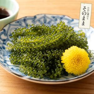 沖縄県産 海ぶどう 50g 無着色 タレ付き ...の詳細画像4