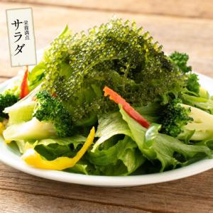 沖縄県産 海ぶどう 50g 無着色 タレ付き ...の詳細画像5