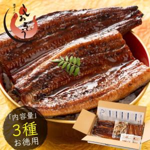 鰻 ウナギ うなぎ 3種セット 蒲焼き 無頭 国産 大サイズ 約165g×2尾 刻みうなぎ 50g×1袋 カットうなぎ 80g×1袋 国産鰻 国産