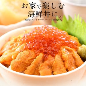 うに いくら セット 無添加ウニ 200g イ...の詳細画像2