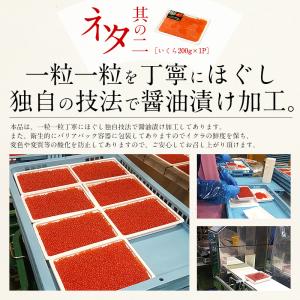 うに いくら セット 無添加ウニ 200g イ...の詳細画像5