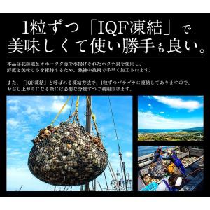 ホタテ ほたて 貝柱 北海道 1kg 訳あり(...の詳細画像3