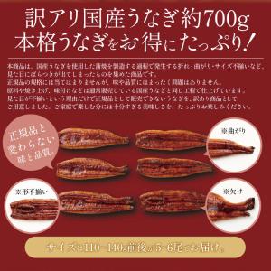 訳あり 国産 うなぎ 蒲焼き 約700g 5〜...の詳細画像2