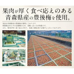梅干し 訳あり つぶれ梅 300g しそ漬け ...の詳細画像3