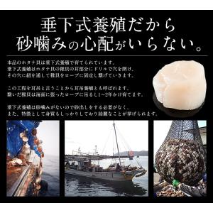焼きホタテ 100g 北海道産 ほたて ホタテ...の詳細画像3
