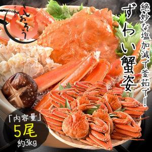かに カニ 蟹 ズワイガニ 姿 3kg 600g前後×5尾 ずわいがに ズワイ蟹 ずわい蟹 同梱不可 爆買