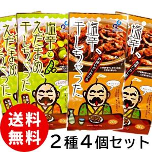 塩辛干しちゃった 2種 4個セット 送料無料 いかの塩辛 枝豆 函館 酒の肴 つまみ フリーズドライ 1000円ポッキリ ポイント消化 おやつ メール便