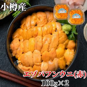 （日付指定不可） 小樽産 塩水うに 100g 2個セット 赤ウニ