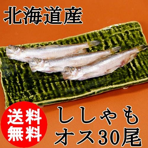 ＼本物のししゃも／ 北海道産 鵡川産 むかわ ししゃも オス 30尾 特大 本ししゃも 柳葉魚 送料...