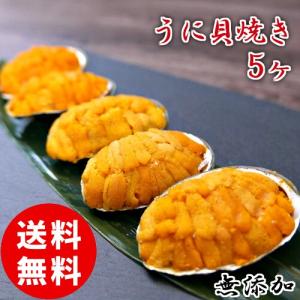 うに 貝焼き 5個入  むしうに 貝盛り 雲丹 焼きうに