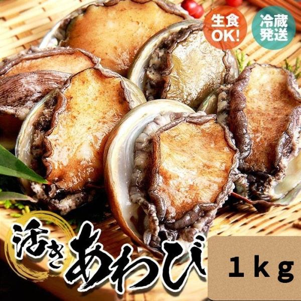 活 蝦夷 あわび 90/100 1kg (約 10 〜 11 枚) アワビ 鮑 BBQ キャンプ お...