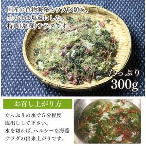 海藻サラダ 300g 塩蔵サラダ_送料無料 三...の詳細画像1