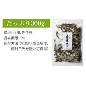 海藻サラダ 300g 塩蔵サラダ_送料無料 三...の詳細画像4