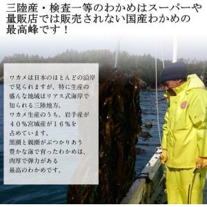 三陸産 生わかめ検査一等150g _送料無料 ...の詳細画像1