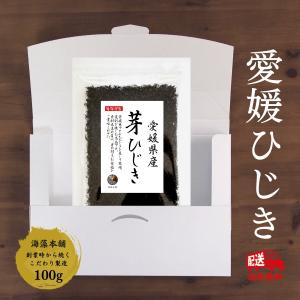 芽ひじき500g ひじき 芽ひじき 500g 愛媛県産 国産 産地から原料を買付け自社