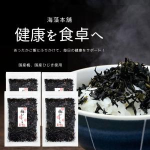 海藻本舗 ひじきふりかけ 梅ひじき 500g 国産ひじき 国産うめ使用 業務