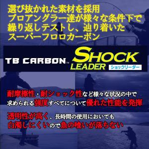 DUEL(デュエル) フロロライン 10Lbs...の詳細画像2